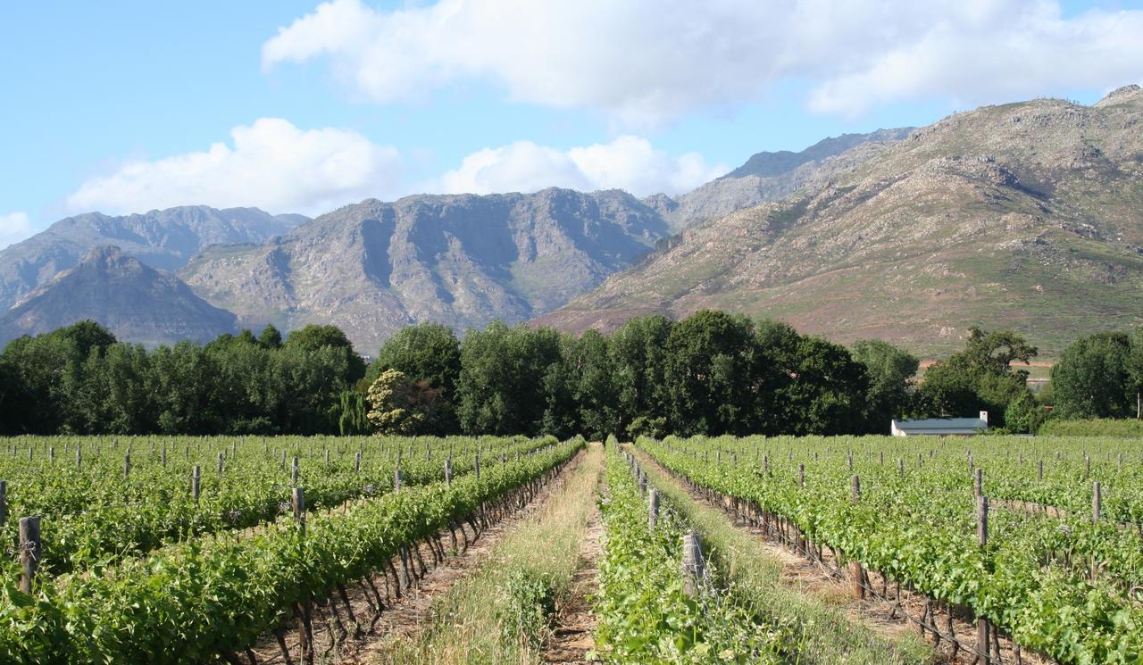 La Chataigne Wines & Guest Cottages Franschhoek Exterior foto