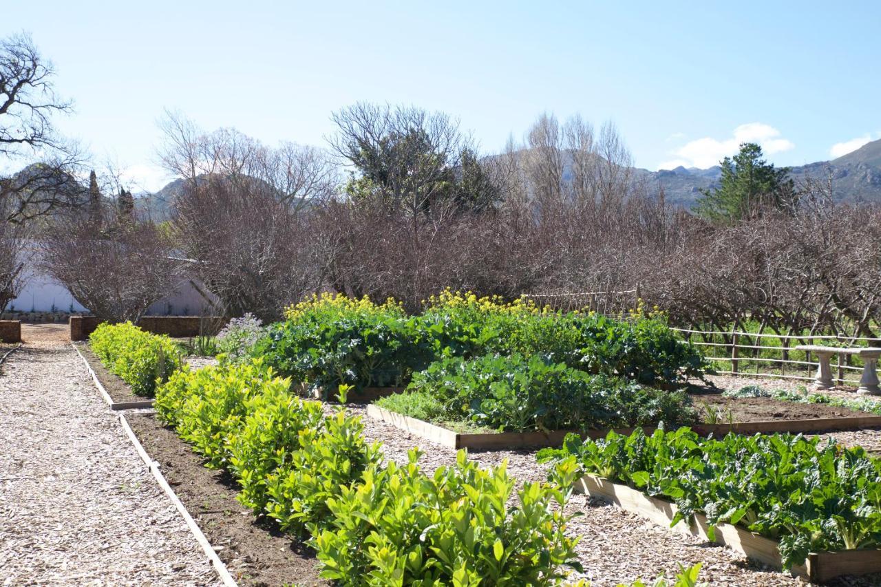 La Chataigne Wines & Guest Cottages Franschhoek Exterior foto