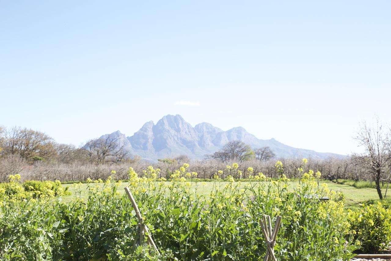 La Chataigne Wines & Guest Cottages Franschhoek Exterior foto