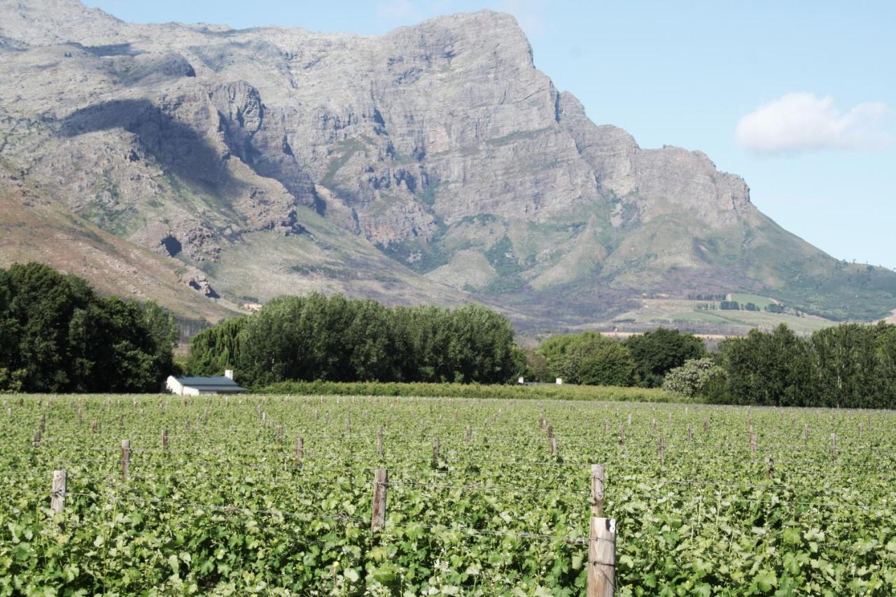 La Chataigne Wines & Guest Cottages Franschhoek Exterior foto