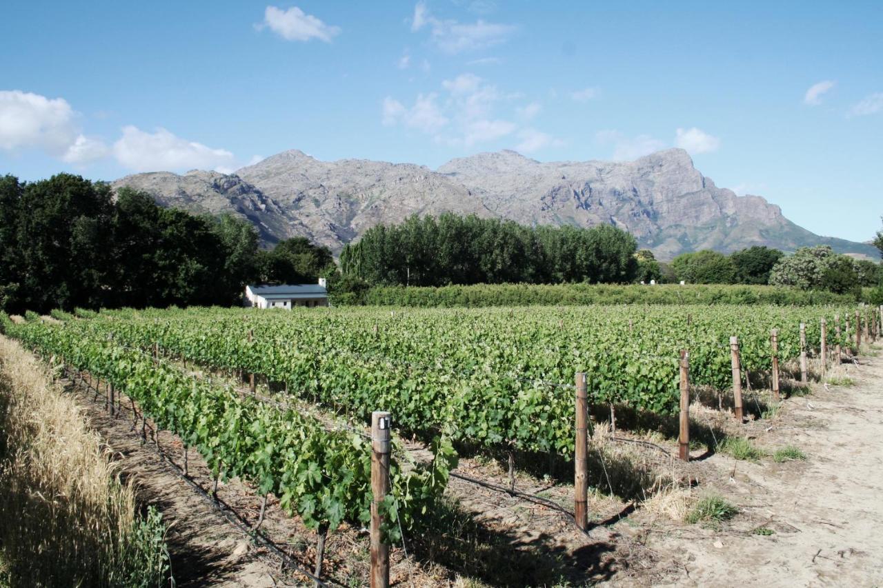 La Chataigne Wines & Guest Cottages Franschhoek Exterior foto